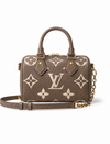 Louis Vuitton Monogram Hobo Bag
